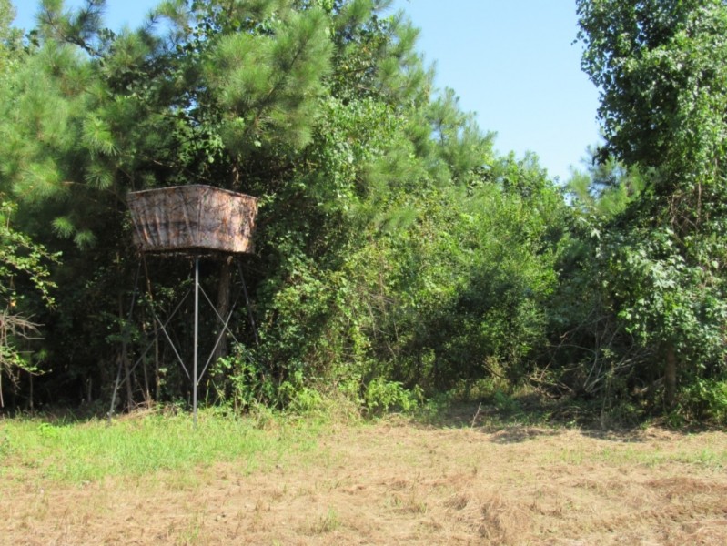 198 Acres with a Camp in Grenada County at 3155 Perry Road in Grenada  MS featured image