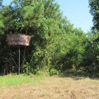 198 Acres with a Camp in Grenada County at 3155 Perry Road in Grenada  MS