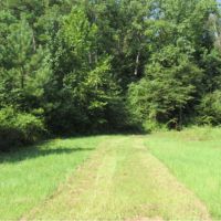 198 Acres with a Camp in Grenada County at 3155 Perry Road in Grenada  MS images 3