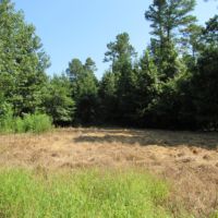 198 Acres with a Camp in Grenada County at 3155 Perry Road in Grenada  MS images 4