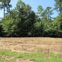 198 Acres with a Camp in Grenada County at 3155 Perry Road in Grenada  MS images 5