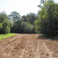 198 Acres with a Camp in Grenada County at 3155 Perry Road in Grenada  MS images 6