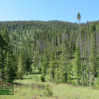 Camping Site Near the Big Hole River- Thistle  6.9 Acres for  49 850 images 6