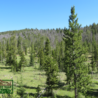 Camping Site Near the Big Hole River- Thistle  6.9 Acres for  49 850 images 3