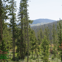 Camping Site Near the Big Hole River- Thistle  6.9 Acres for  49 850 images 2
