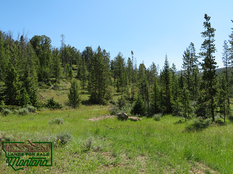 Camping Site Near the Big Hole River- Thistle  6.9 Acres for  49 850 featured image