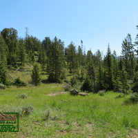 Camping Site Near the Big Hole River- Thistle  6.9 Acres for  49 850
