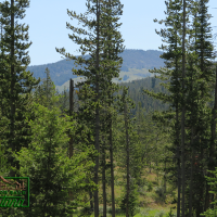 Camping Site Near the Big Hole River- Thistle  6.9 Acres for  49 850 images 5