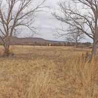 Days Gone By Ranch 80-skb images 4