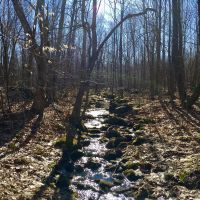 87 Acre Adirondack Hunting Land Hopkinton NY