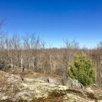 87 Acre Adirondack Hunting Land Hopkinton NY images 3