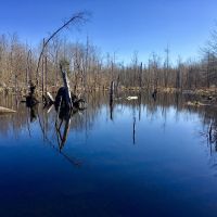 87 Acre Adirondack Hunting Land Hopkinton NY images 2