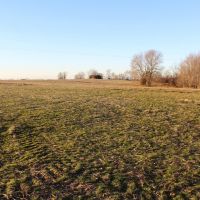 109 Acres crop land &nbsp; mature timber images 4