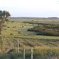 Stewart Quarter Horse &nbsp; Cattle Ranch images 2