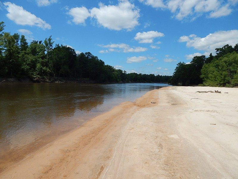 490 Acres  Pushepatapa Cutoff Road &nbsp; Washington Parish featured image