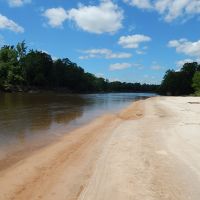 490 Acres  Pushepatapa Cutoff Road &nbsp; Washington Parish