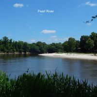 490 Acres  Pushepatapa Cutoff Road &nbsp; Washington Parish images 2