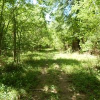 490 Acres  Pushepatapa Cutoff Road &nbsp; Washington Parish images 4