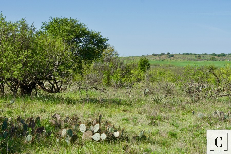 Murray Ranch featured image