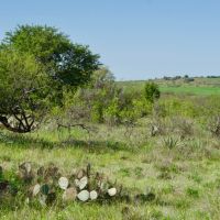 Murray Ranch