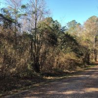 20 Acres in Lincoln County in Bogue Chitto  MS images 6