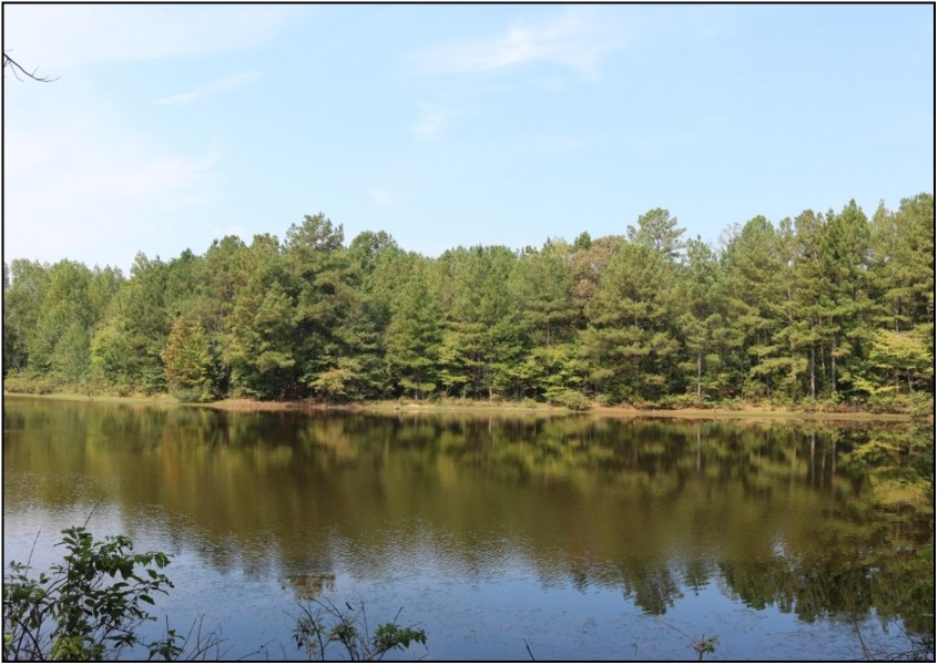 18 Acres in Lauderdale County in Meridian  MS featured image