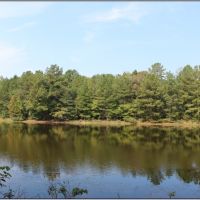 18 Acres in Lauderdale County in Meridian  MS