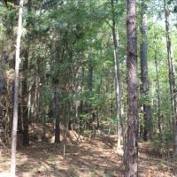 18 Acres in Lauderdale County in Meridian  MS images 6