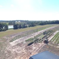 80 Acres of Columbia County Land with Water Frontage  Shed &nbsp; Beautiful Home Site images 6
