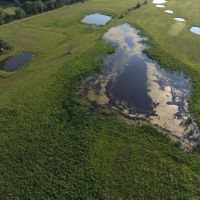 Whitetail &nbsp; Waterfowl Hunting with Build Site Marquette County images 5