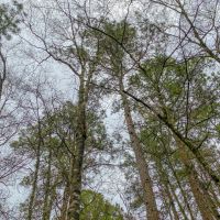 30 Acres &nbsp; Off FM 223