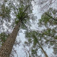 30 Acres &nbsp; Off FM 223 images 2