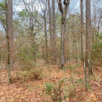 30 Acres &nbsp; Off FM 223 images 5