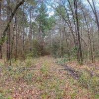 30 Acres &nbsp; Off FM 223 images 6