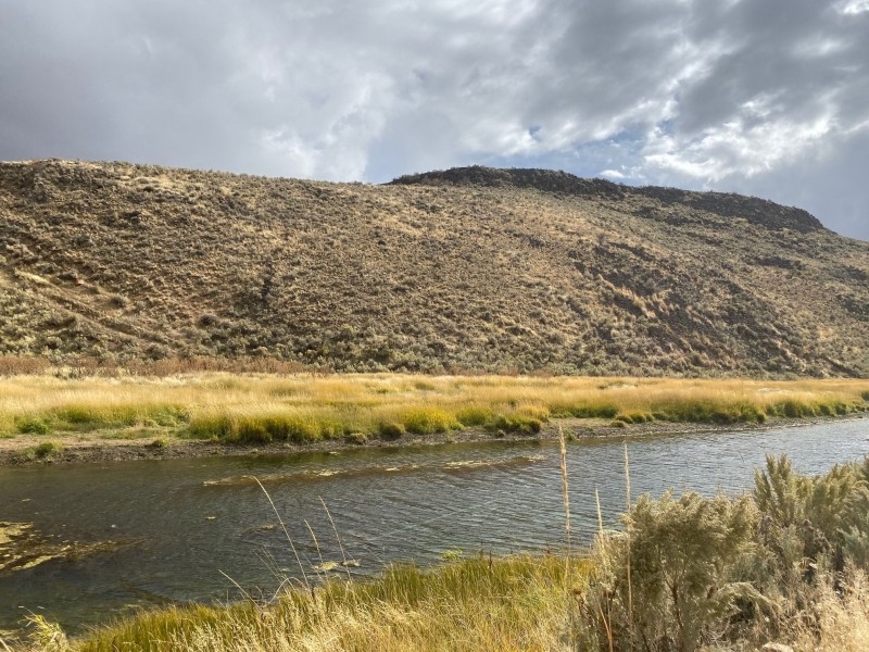 Willow Creek Ranch featured image