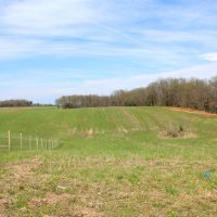 87.88 Acres open &nbsp; wooded  beautiful home sites  great hunting images 2