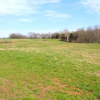 87.88 Acres open &nbsp; wooded  beautiful home sites  great hunting images 6