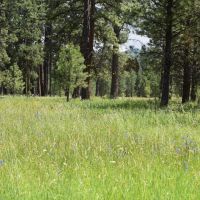 Sumpter Valley Elkhorn View Ranch images 2