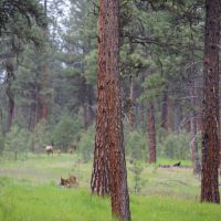 Sumpter Valley Elkhorn View Ranch images 3