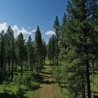 Sumpter Valley Elkhorn View Ranch images 4