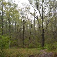 Eclectic Home Site images 3