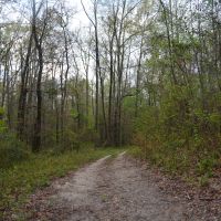 Eclectic Home Site images 5