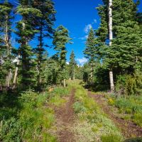 North Brush Creek Preserve images 3