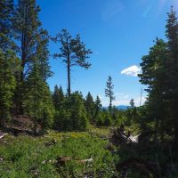 North Brush Creek Preserve images 4