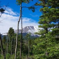 North Brush Creek Preserve images 5