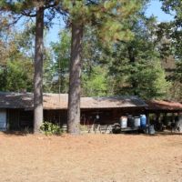 203 Acres in Kemper County in Porterville  MS images 4