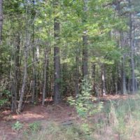 50.61 Acres in Tishomingo County in Iuka  MS