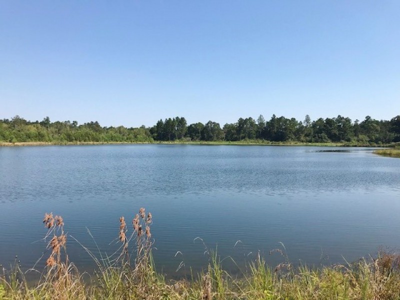 10 Acre Lake on 132 Acres of Timberland featured image