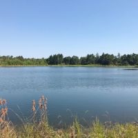10 Acre Lake on 132 Acres of Timberland