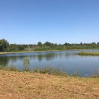 10 Acre Lake on 132 Acres of Timberland images 2